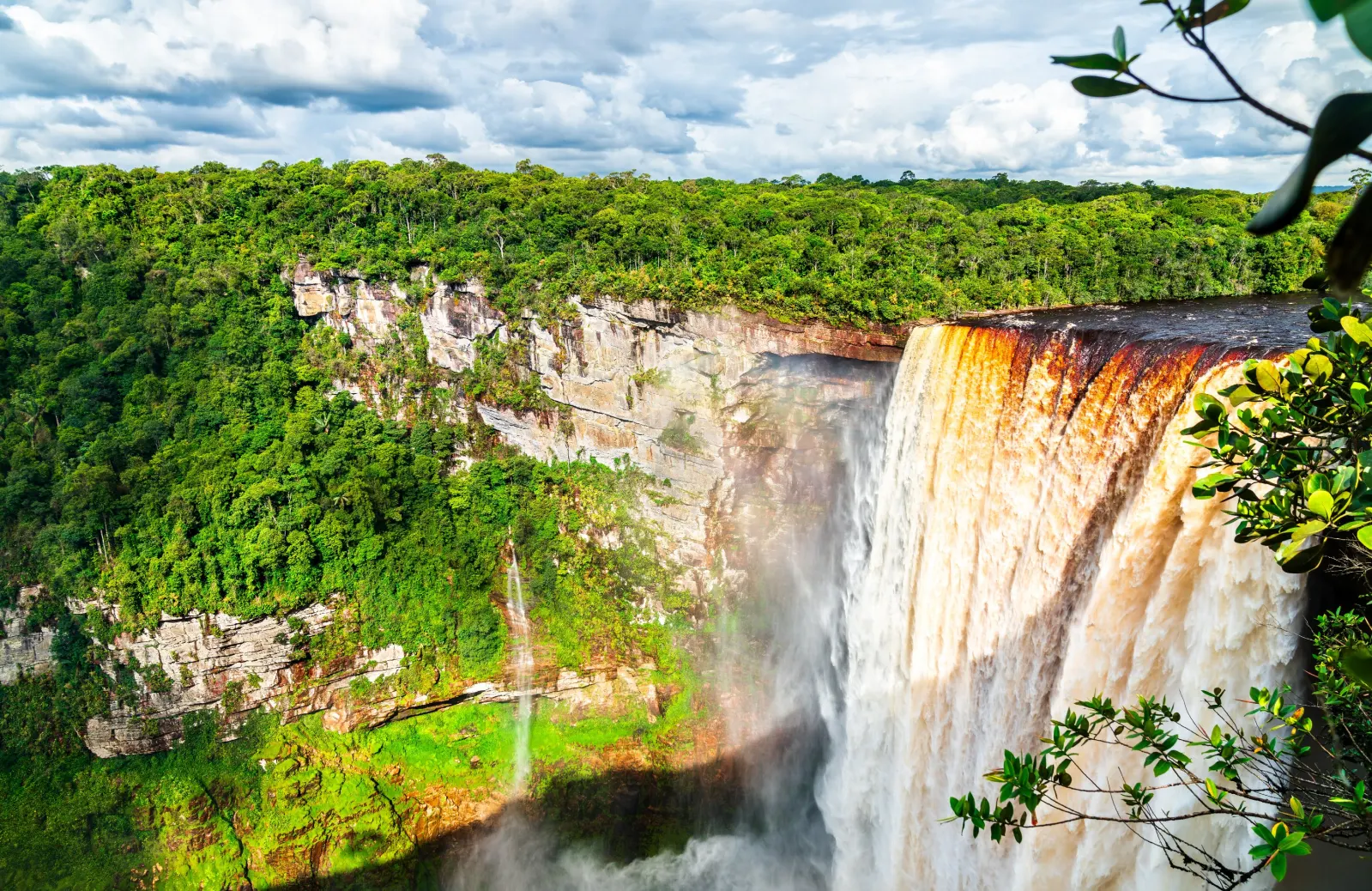 Kaieteur Falls dropping over a cliff beside dense green forest